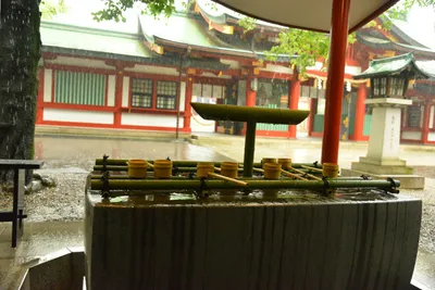 DSC_3188 (Large).JPG